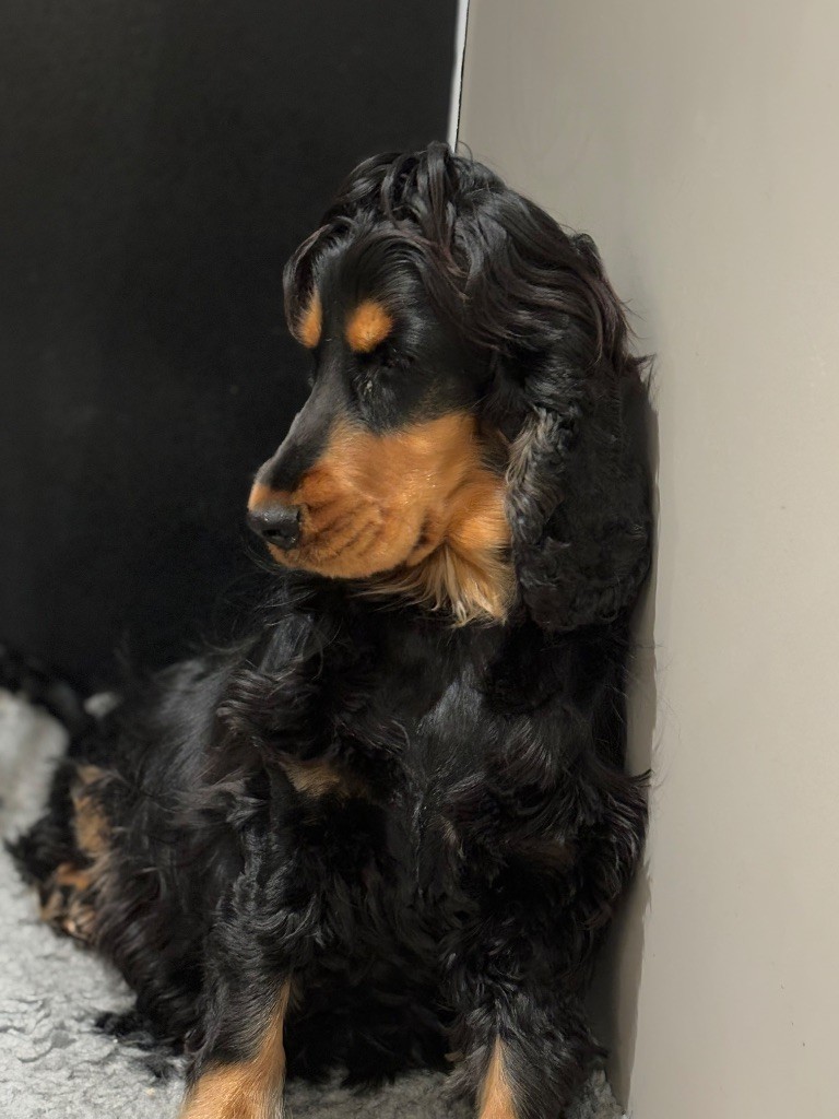 Ushka de La Constellation d'Heelou