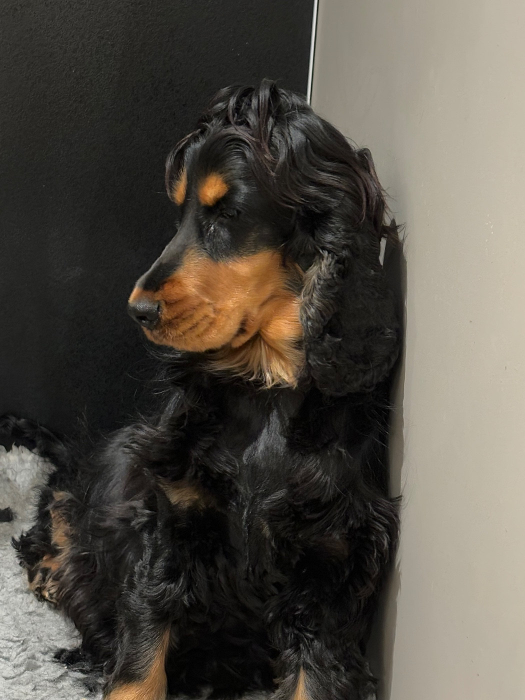 Uka de La Constellation d'Heelou